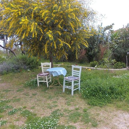 Kassimiotis Lejlighedshotel Agios Andreas  Eksteriør billede